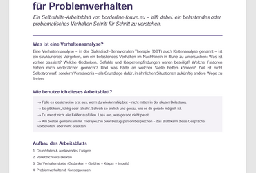 Verhaltensanalyse f&uuml;r Problemverhalten