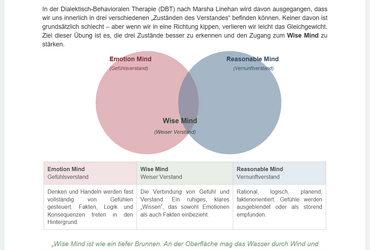 Wise Mind &ndash; Der weise Verstand