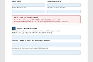 Krisenplan Vorlage