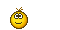 :nudelholz:
